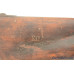 Extremely Rare War of 1812 US Model 1798 Contract Musket by Ard Welton of Waterbury, CT