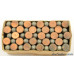  Winchester Green & Red Smokeless Issue 22 Long Ammo “1-20” Code