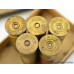 Scarce Winchester Sample Shotgun Shell Set Leader Repeater Nublack New Rival