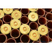Winchester Ranger 20 GA Paper Primed Empty Shot Shell Partial Box 85 Count
