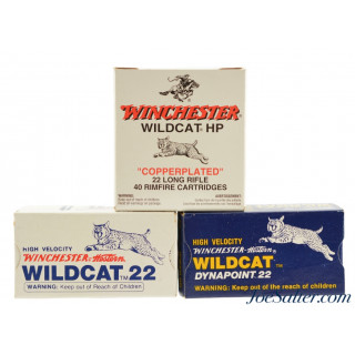 Winchester Wildcat 22LR Ammo Collection Dynapoint Copperplated High Velocity