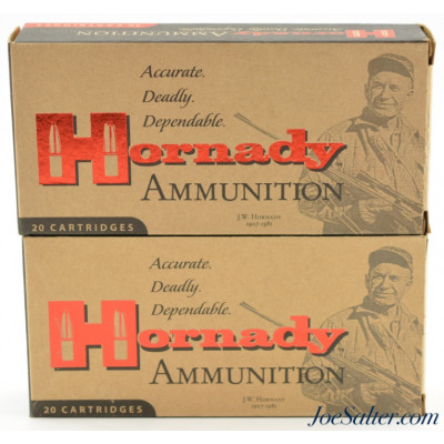 Hornady 450 Bushmaster Ammo 250 Grain FTX 40 Rounds